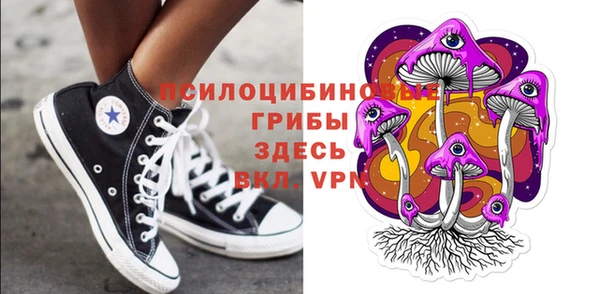 a pvp Няндома