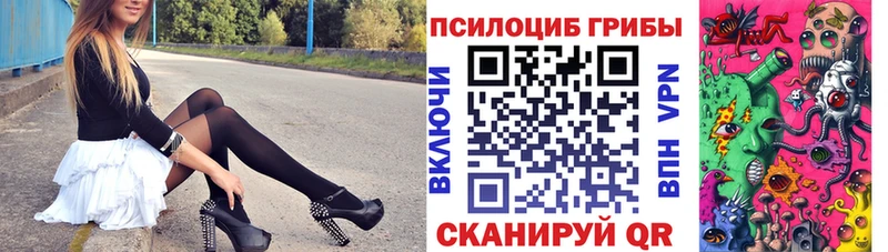 Галлюциногенные грибы Psilocybe  Купить где  Апатиты 