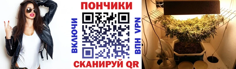 Купить  Апатиты  Бошки Шишки OG Kush 